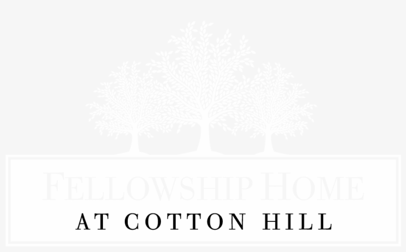 Locations - Tree, transparent png download