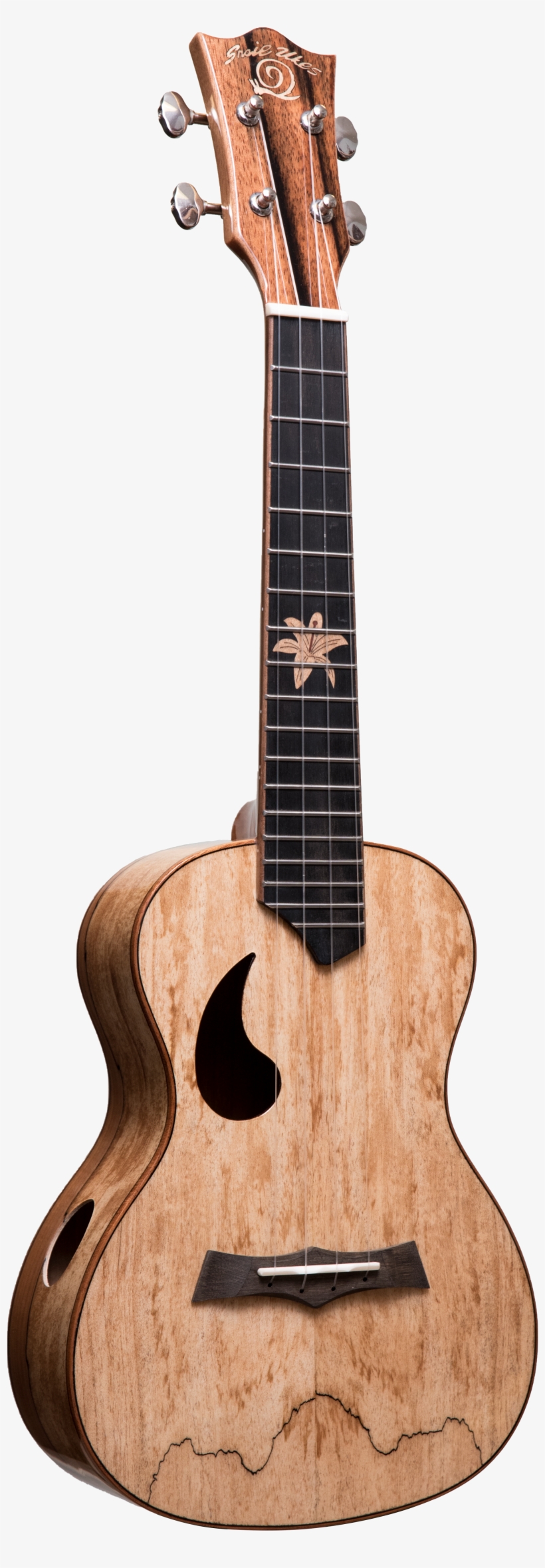 Snail Glossy - Acoustic Guitar, transparent png download