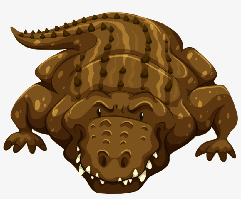 Safari & Zoo Farm Animals, Wild Animals, Mc Donalds, - Crocodile Flash Card, transparent png download