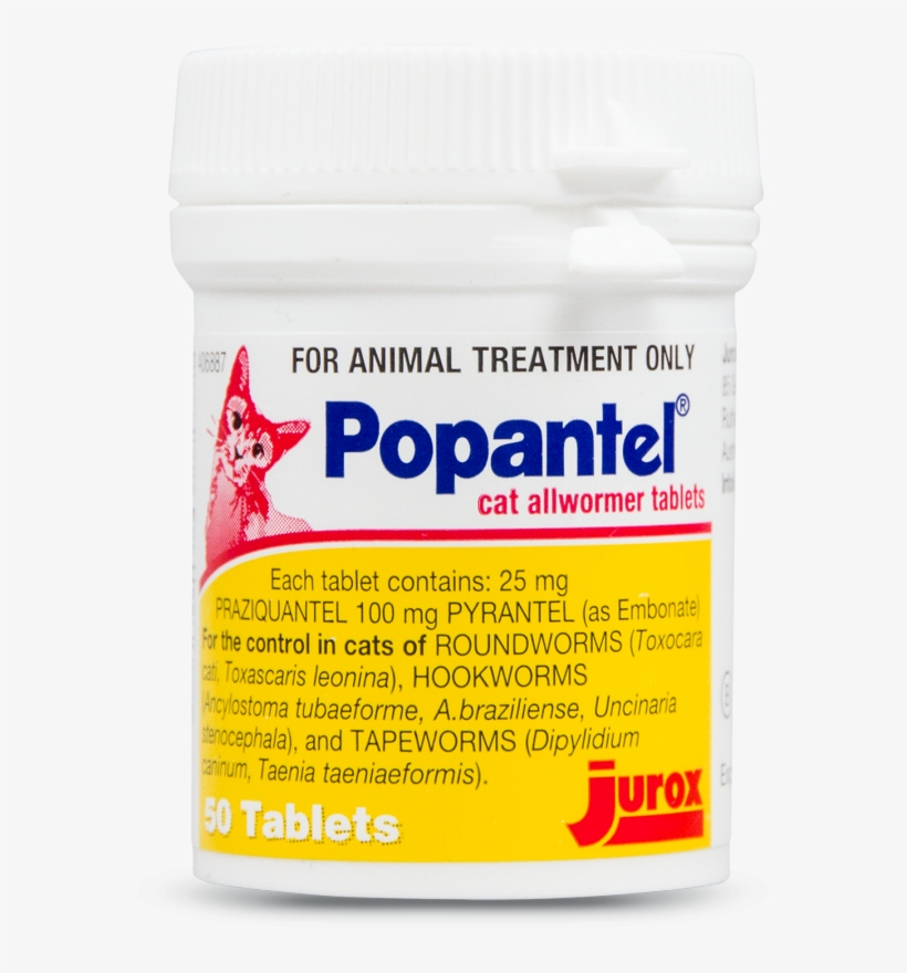 Popantel® Cat Product Image - Animal, transparent png download