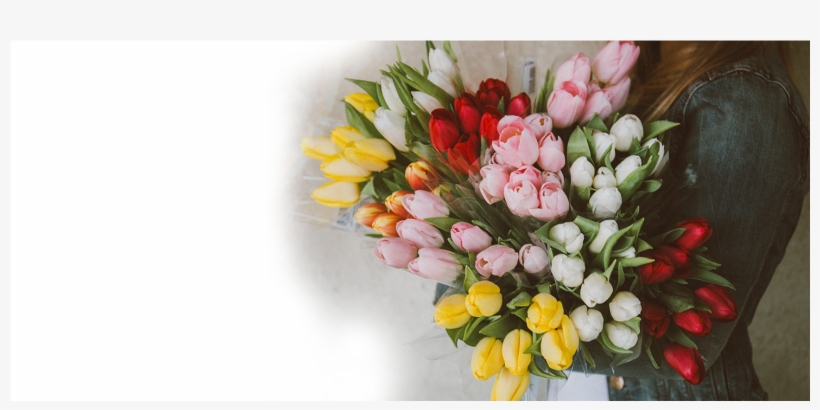 Todxqieah9m Annie Spratt - Regalo De Flores De Cumpleaños, transparent png download