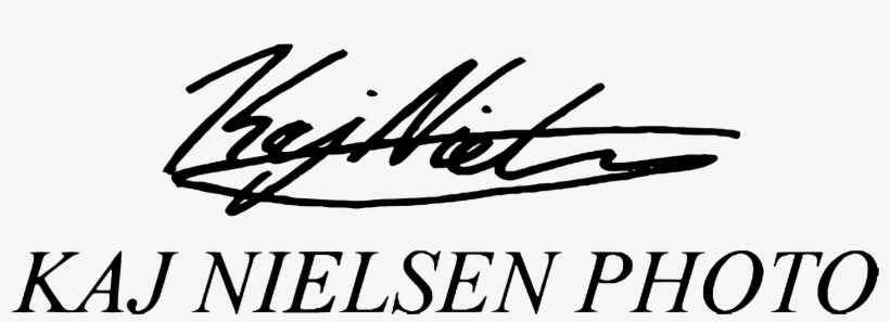 Calligraphy, transparent png download