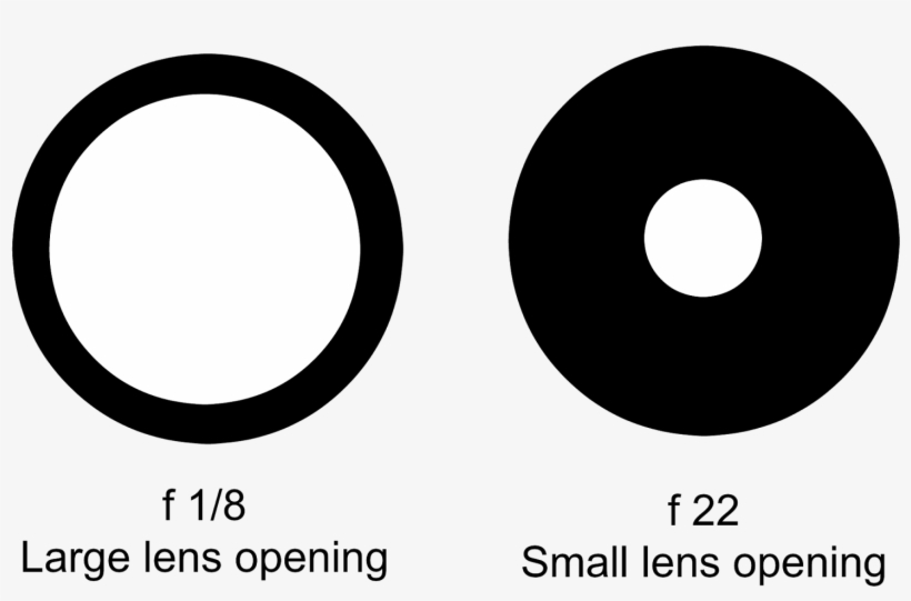 Take A Look At This Super Professional Graphic - Norte Shopping, transparent png download