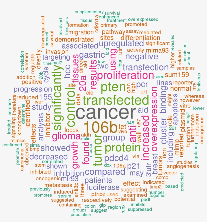 Sort By - Keyword Cloud, transparent png download