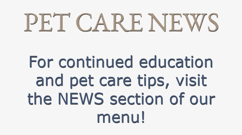 For Continued Education And Pet Care Tips, Visit The - Tan, transparent png download