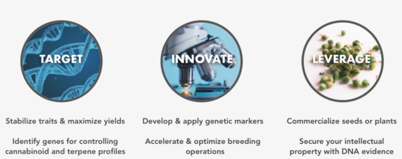 Home Page Visual V2 - Graphic Design, transparent png download