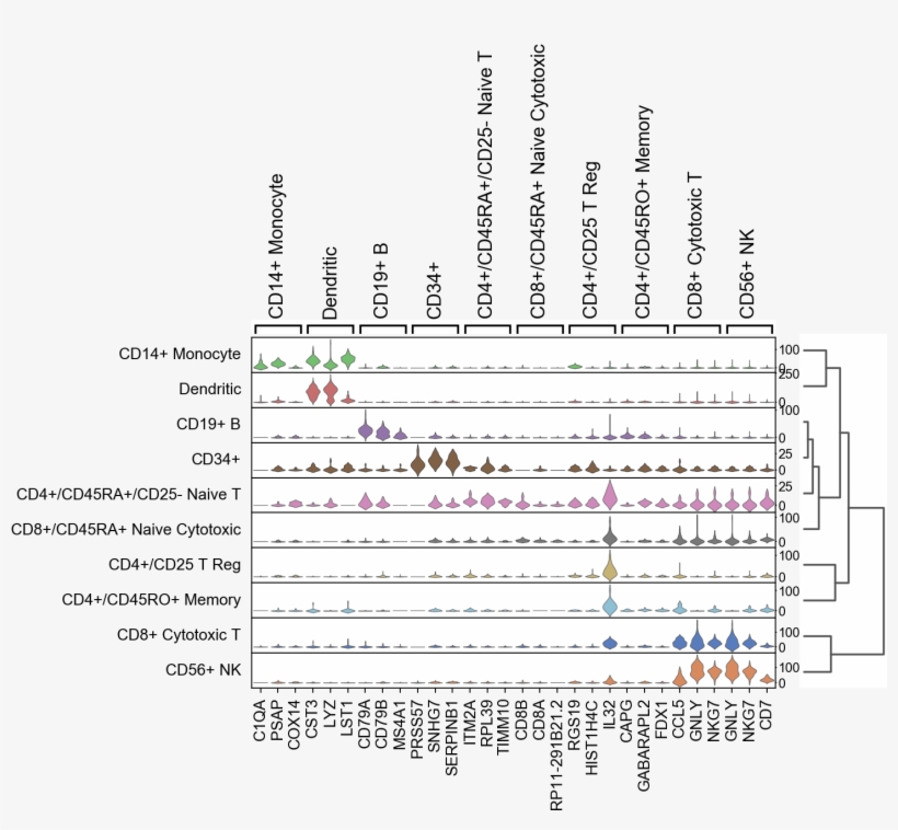 Images/visualizing Marker Genes 58 0 - Diagram, transparent png download