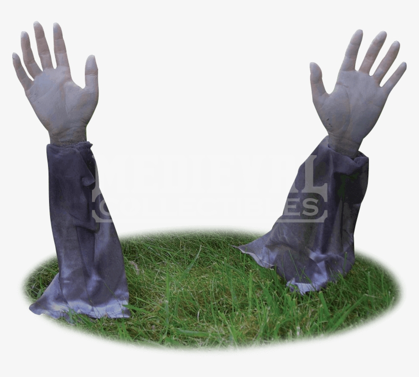 Halloween Decoration Png, transparent png download