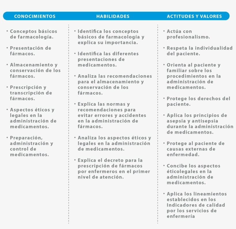 Competencia - Staffing Roles And Responsibilities, transparent png download