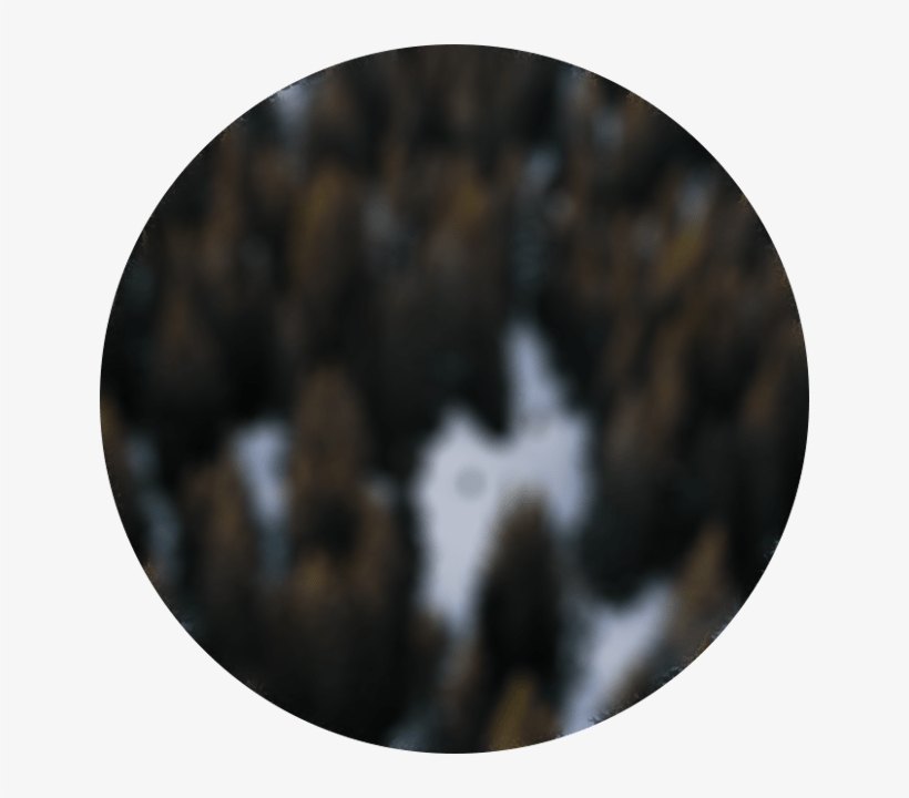 V Sh Sl 3 Circle New 1 - Circle, transparent png download