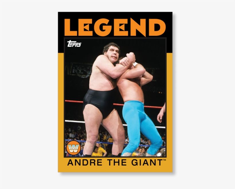 Andre The Giant - Jim Neidhart, transparent png download