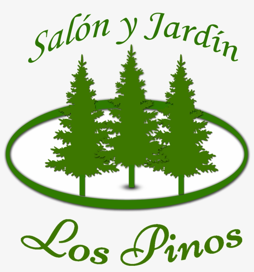 White Pine, transparent png download