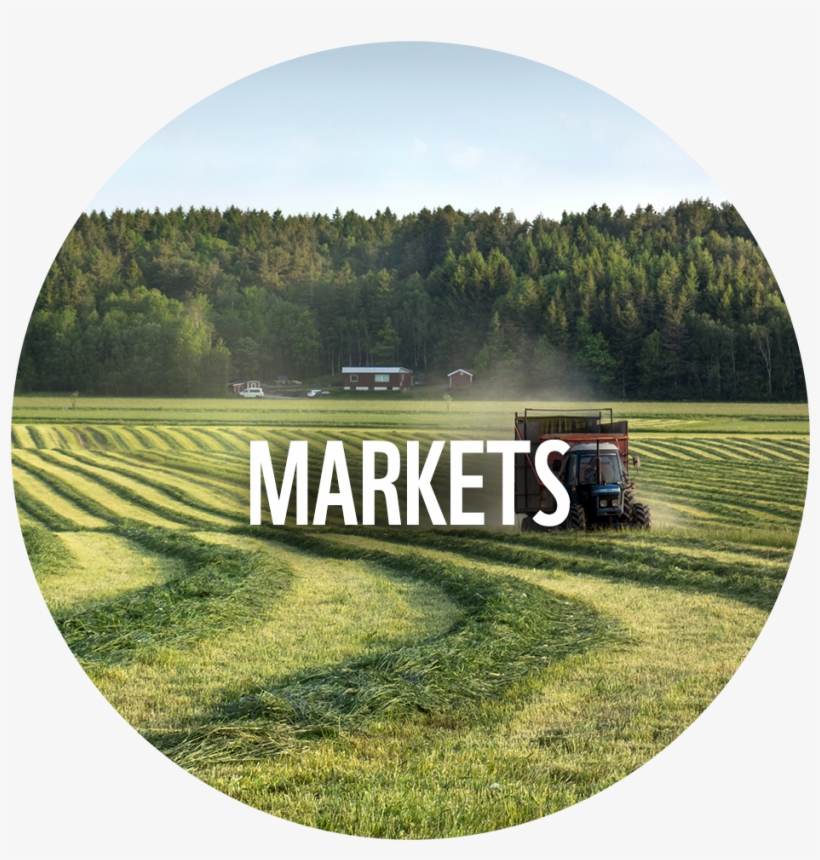 Across 3 Cross-cutting Drivers - Grass, transparent png download