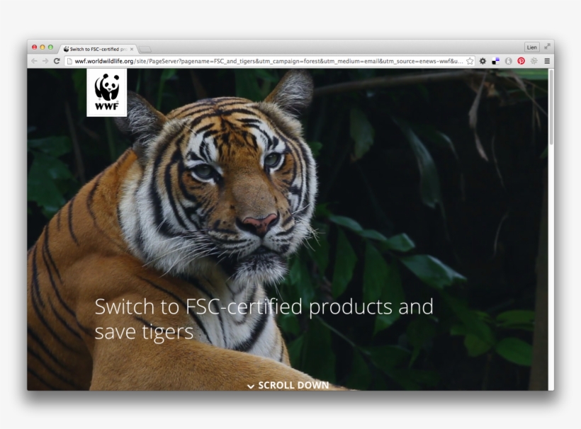 Imfa Campaign For World Wildlife Fund Explains Why - Extinction Advertising, transparent png download