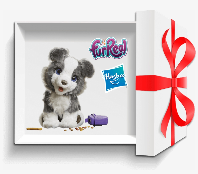 Enter Now - Dog Catches Something, transparent png download