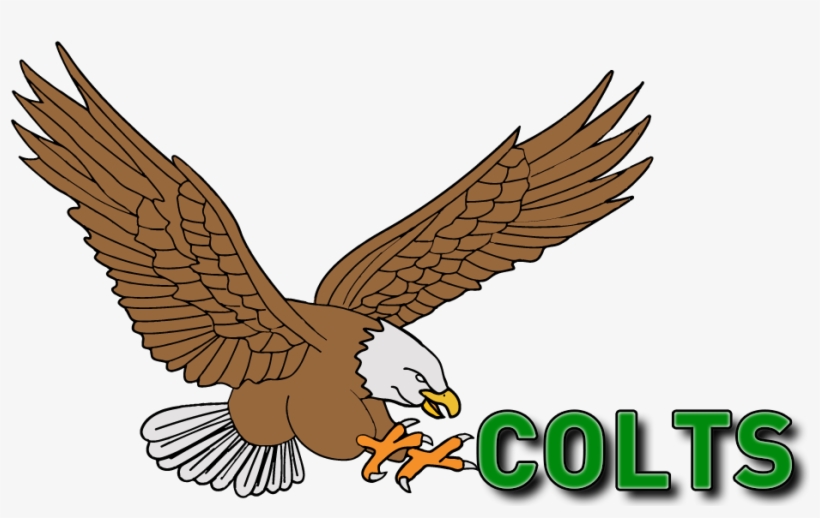 Colts 7 In A Row - Golden Eagle, transparent png download