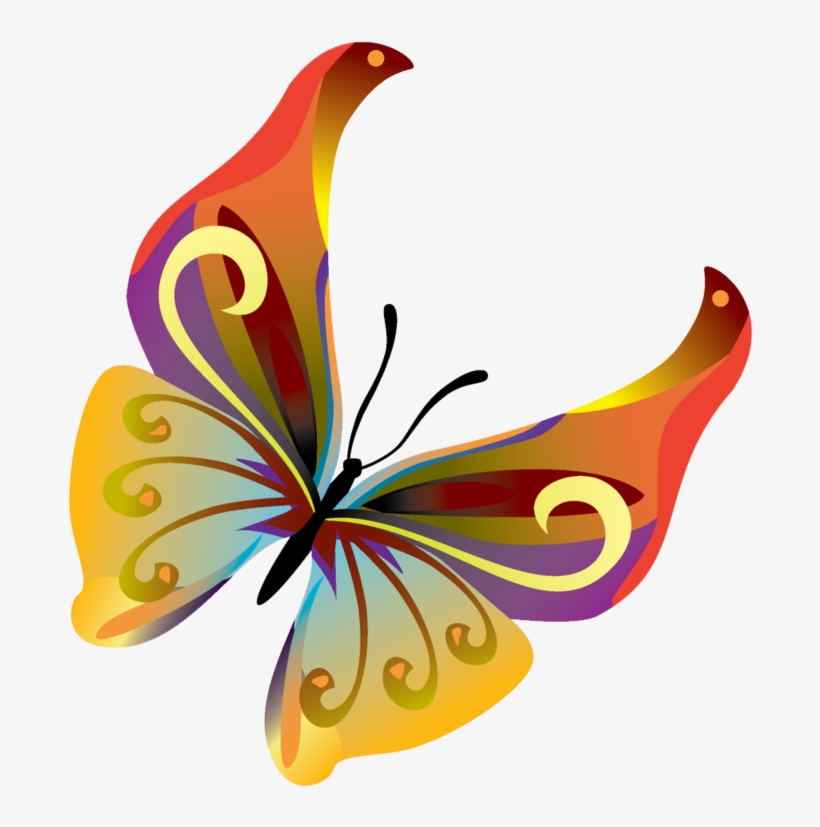Butterflies Vector Png Transparent Image - Butterfly Vector Transparent, transparent png download