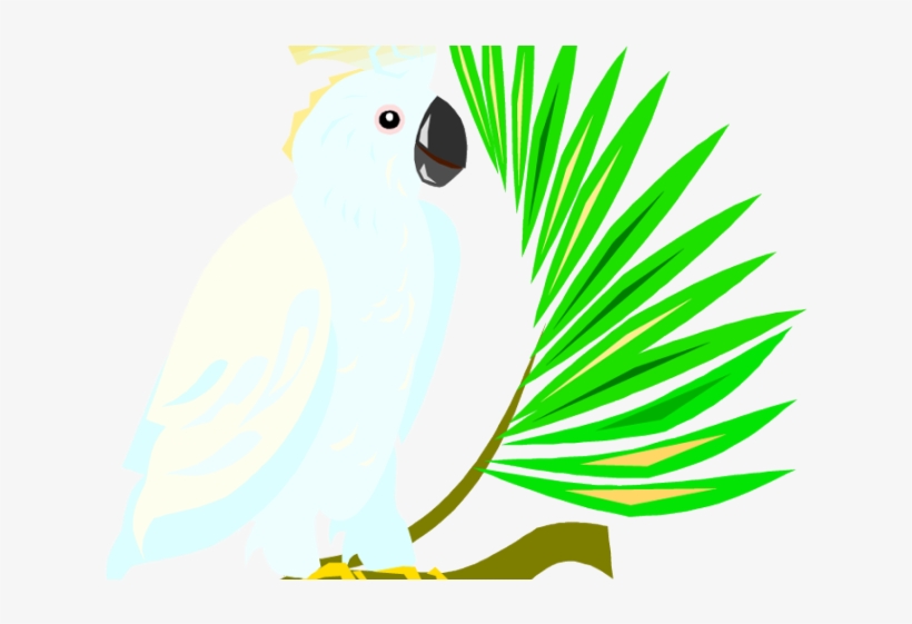 Parrot Clipart Green Parrot - Sulphur-crested Cockatoo, transparent png download