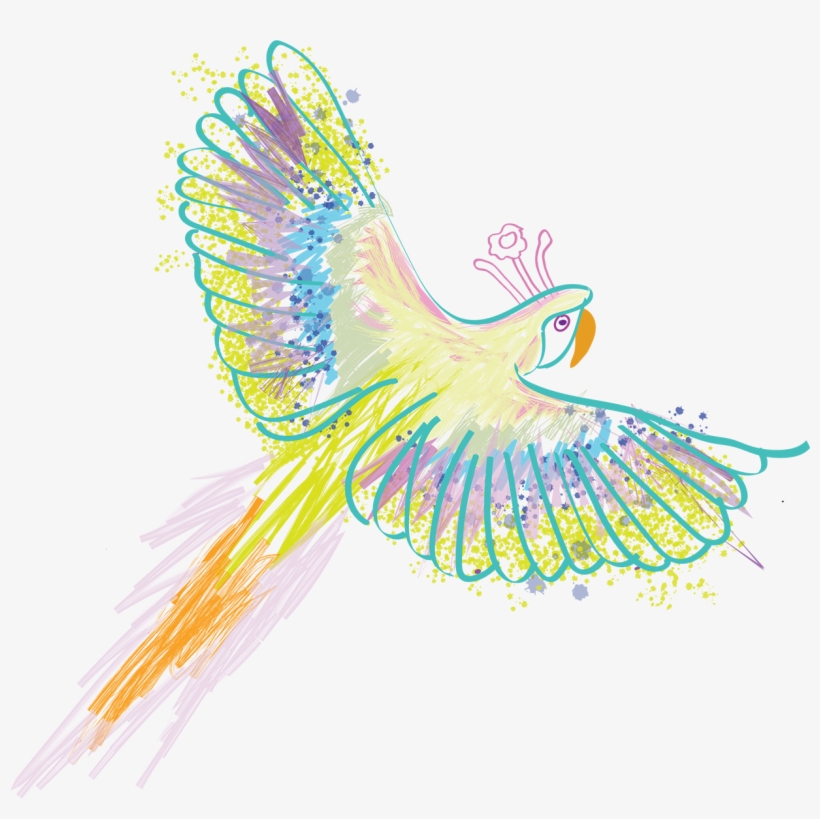 Local Flora & Fauna - Pheasant, transparent png download