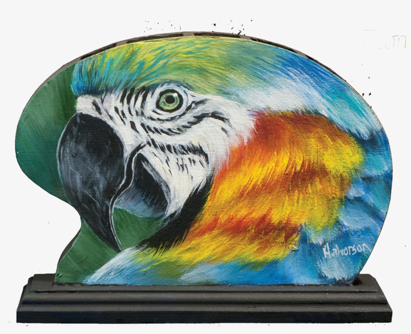 1 - - Macaw, transparent png download