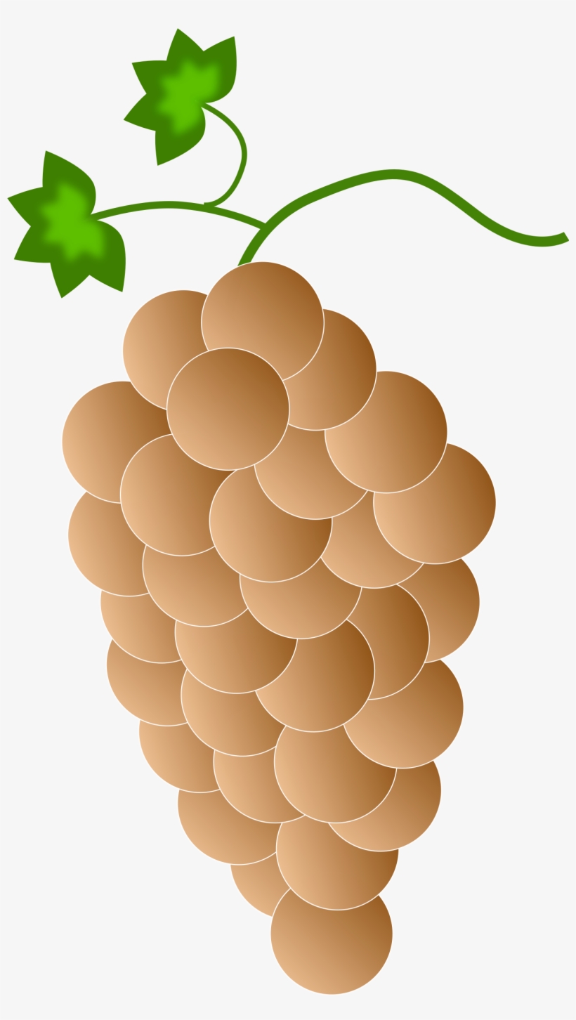 This Free Icons Png Design Of Orange Grapes, transparent png download