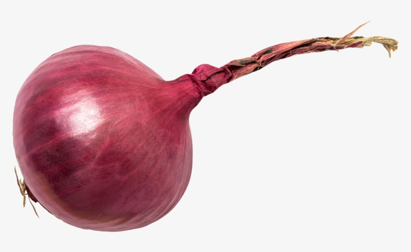 Red Onion, transparent png download