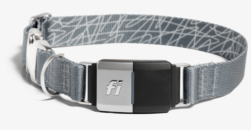 Image Of The Collar In A Grey Band - Belt, transparent png download