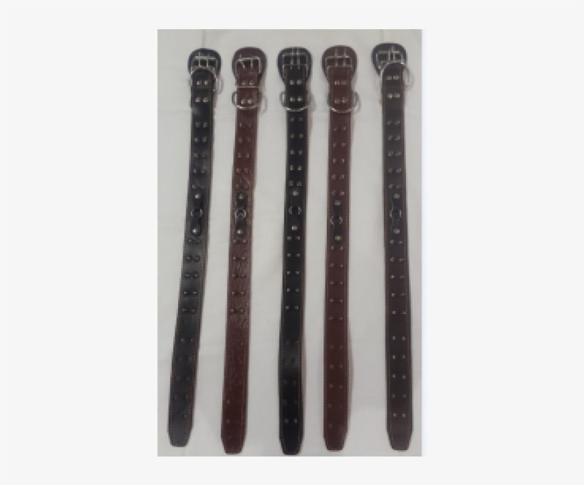 Dog Belt - Sword, transparent png download