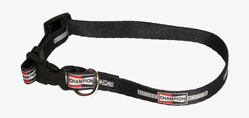 Dog Collar - Strap, transparent png download