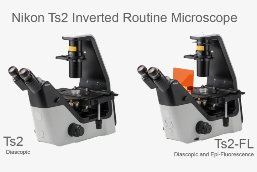 Ts2 Nikon, transparent png download