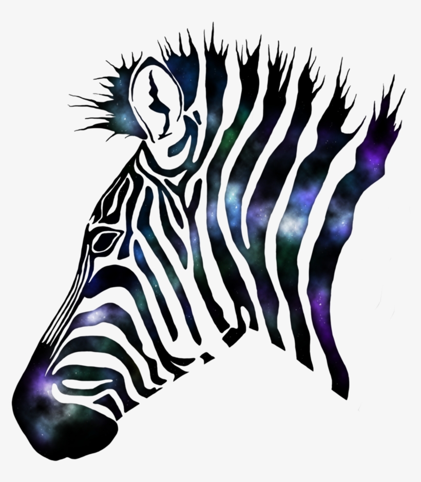 894 X 894 3 Galaxy Zebra PNG Image Transparent PNG Free Download on