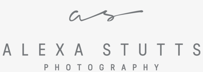 Alexa Stutts Photography - Calligraphy, transparent png download
