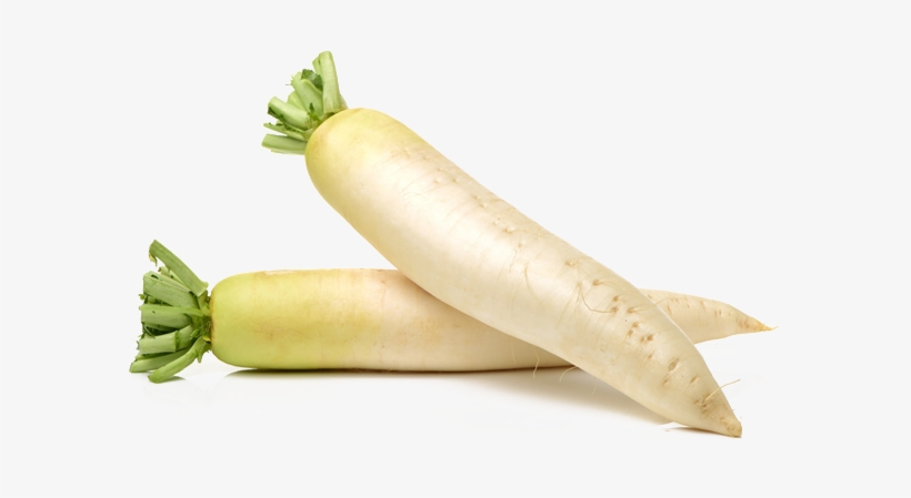 Related Wallpapers - Nabo Holandes, transparent png download