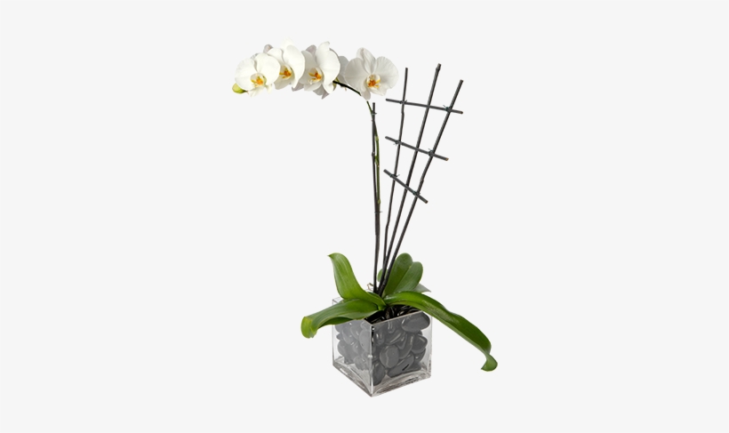 Single Stem Phalaenopsis Plant - Artificial Flower, transparent png download