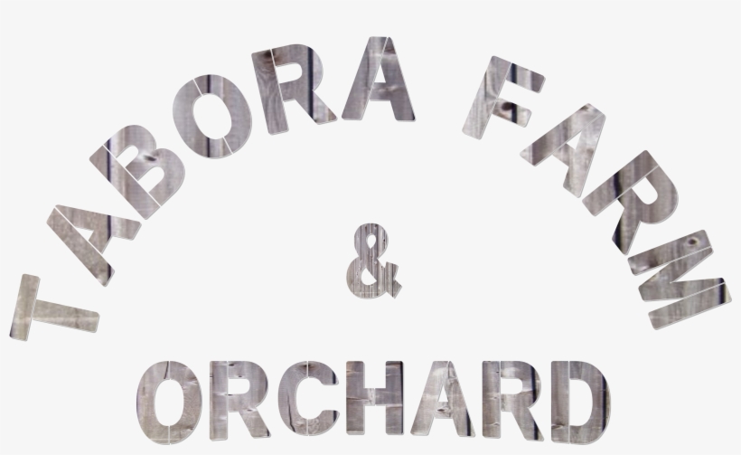 Chocolate Fantasy Basket - Guitar String, transparent png download