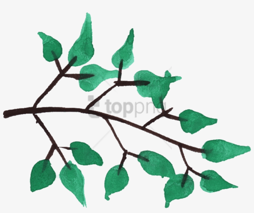 Free Png Watercolor Tree Branches Png Image With Transparent - Twig, transparent png download