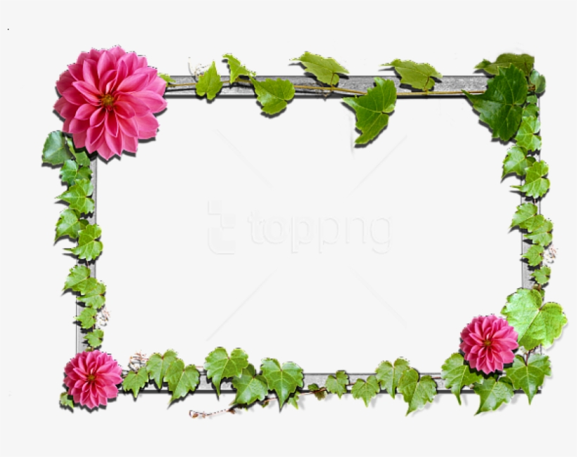 Free Png Flowers Frame Background Best Stock Photos - Frame Photoscape Free Download, transparent png download