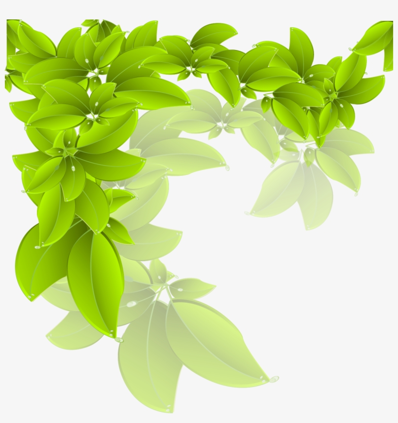 Branch Green Leaf - 綠葉 底, transparent png download