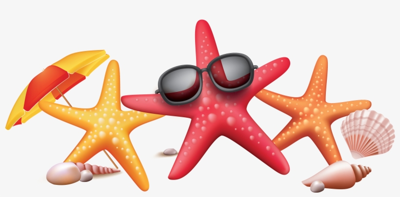 Vector Color Seaside Starfish Sunglasses Creative - Summer, transparent png download