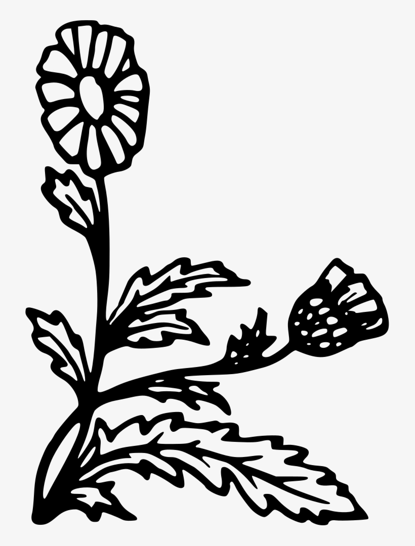 Flower, transparent png download