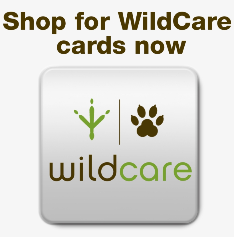 Buy Cards At Second Chance Greetings - Recipe For Men, transparent png download