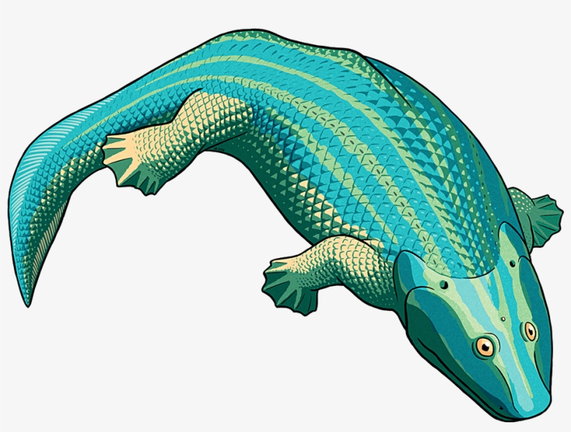 Tumblr Oba2rvvofs1s5f2yxo1 1280 - Amphibian August 2016, transparent png download