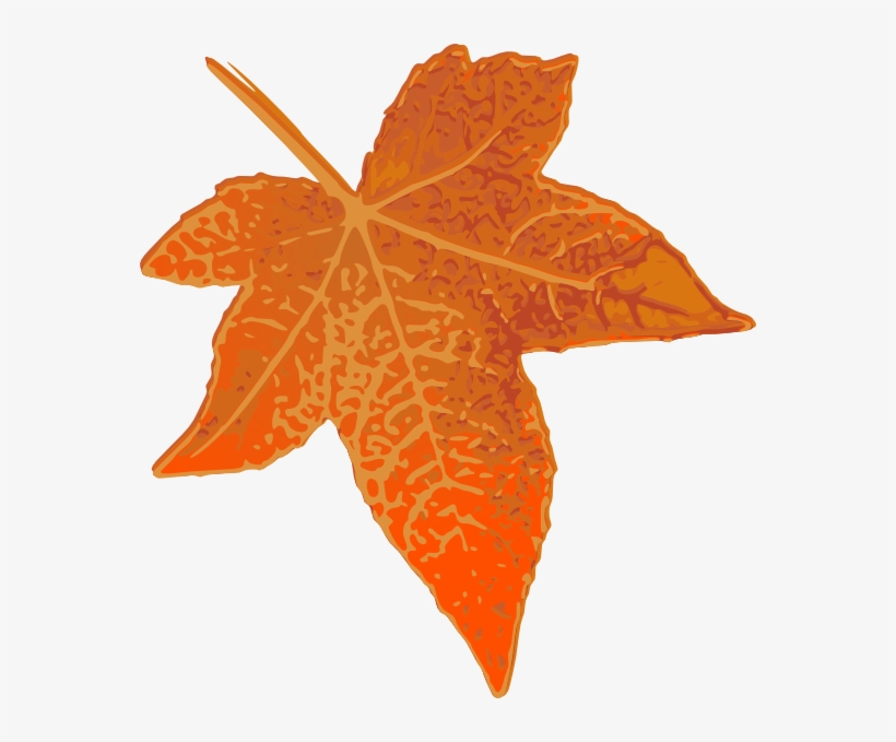 Orange Leaves Cliparts - Maple Leaf Clip Art, transparent png download