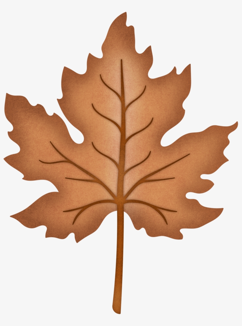 Autumn Harvest 4 - Maple Leaf, transparent png download
