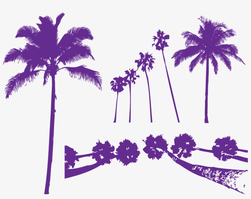 Areca Palm Tree Purple Arecaceae - Palm Trees Silhouette Colorful, transparent png download