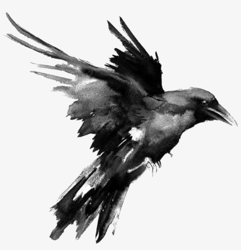 Raven Png - Black And White Raven Art, transparent png download