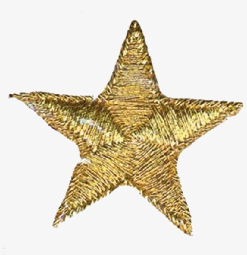 Autumn Themed Filler Pngs /like Or Reblog If Used/ - Does Real Communism Work, transparent png download