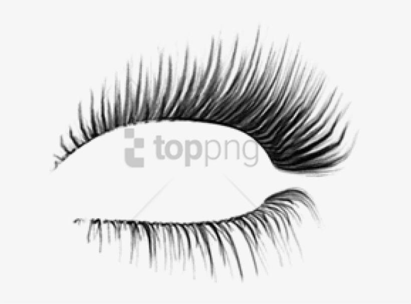 Free Png Download Classis Eyelash Png Images Background - Pestañas Png Para Photoshop, transparent png download