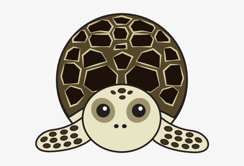 Animaru Hawksbill Turtle - Sea Turtle, transparent png download