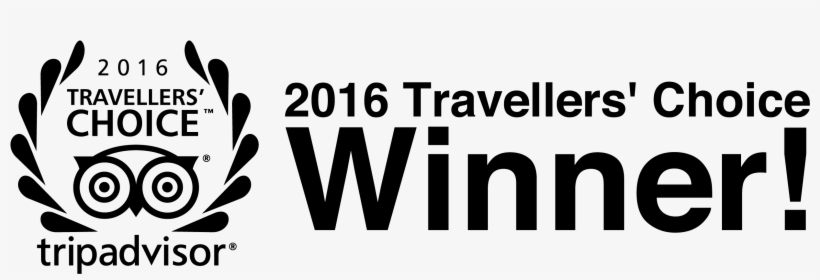 Special Offer Banner - Calligraphy, transparent png download